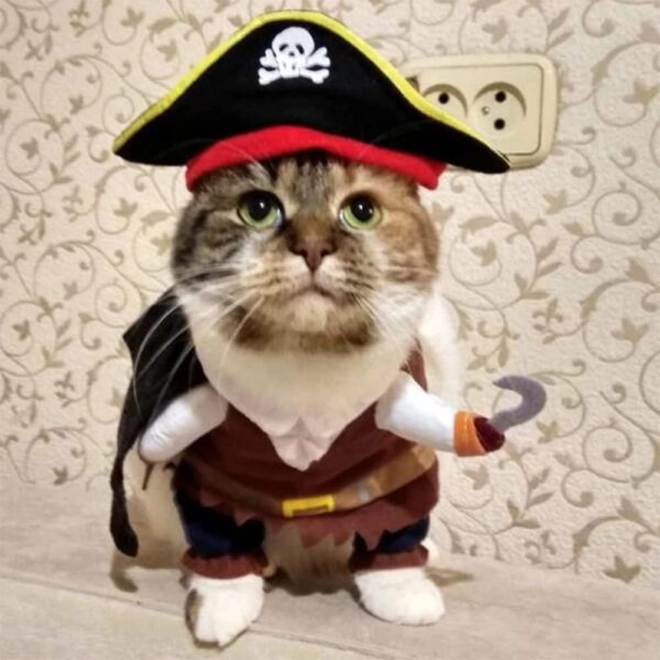 Meihejia Cat Pirate Costumes - Super Cute Pet Pirate Costume for Small Dogs & Cats (Small) - Image 3