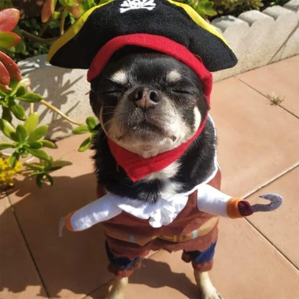 Meihejia Cat Pirate Costumes - Super Cute Pet Pirate Costume for Small Dogs & Cats (Small) - Image 4