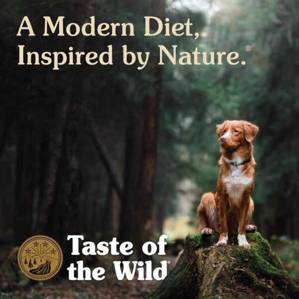 Taste of the Wild with Ancient Grains, Ancient Prairie Canine Recipe with Roasted Bison and Venison Dry Dog Food, Made with High Protein from Real Meat and Guaranteed Nutrients and Probiotics 5lb - Image 8