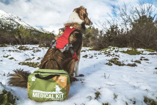 Adventure Medical Kits Workin' Dog Canine First Aid Kit with QuikClot - Image 8