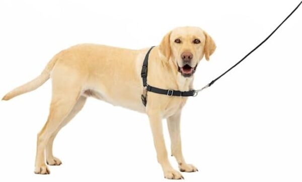 PetSafe Easy Walk Black No Pull Dog Harness, Large - Image 3