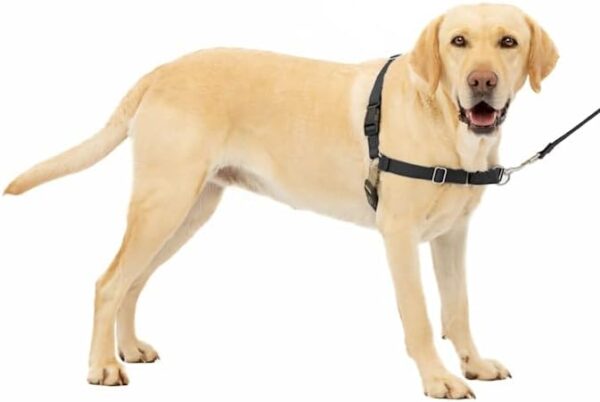 PetSafe Easy Walk Black No Pull Dog Harness, Large - Image 2