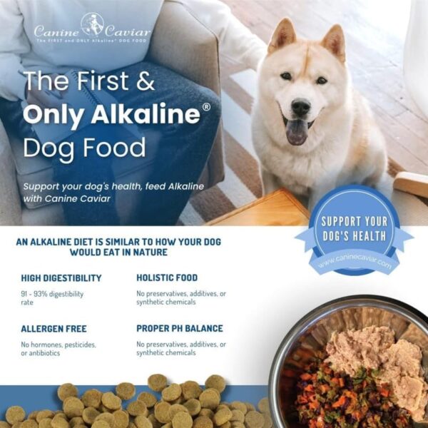 Canine Caviar Special Needs Dog Food – Limited Ingredient Alkaline Holistic Dog Food – Gluten Free, Premium for Older & Sensitive Stomach Dogs – for Skin & Coat – Chicken & Brown Rice – 4.4 lbs - Image 7