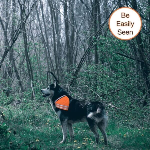 Dog - Pet First Aid Emergency Kit - Includes Slip Leash - Orange Reflective Bandana - Compact Includes 46 Pieces of Useful Items. BE Ready. - Image 4