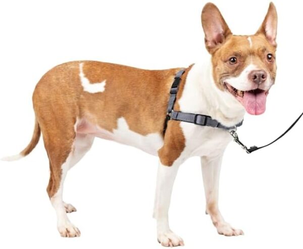 PetSafe Easy Walk Deluxe Steel Dog Harness, Large - Image 3