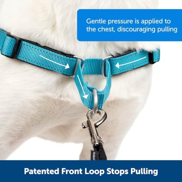 PetSafe Easy Walk Deluxe Steel Dog Harness, Large - Image 6