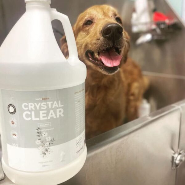 Bark 2 Basics Crystal Clear Dog Shampoo, 1 Gallon | All Natural Ingredients, Gentle Clean, Fragrance and Color Free | Crafted with a Unique Herbal Blend - Image 9